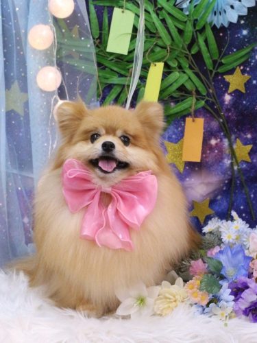 20250706梛都ちゃん